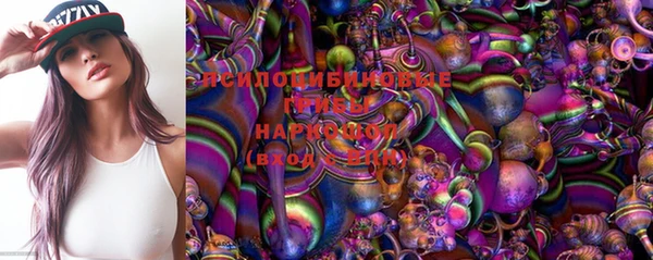 соль ск Богданович