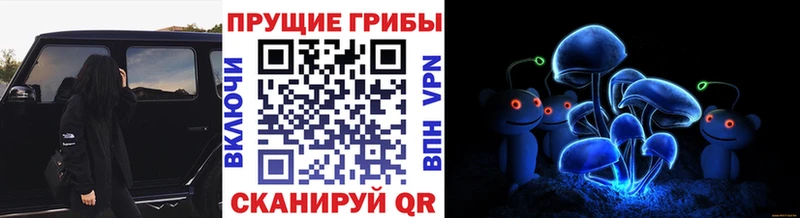 Псилоцибиновые грибы Magic Shrooms  OMG зеркало  Богородск 